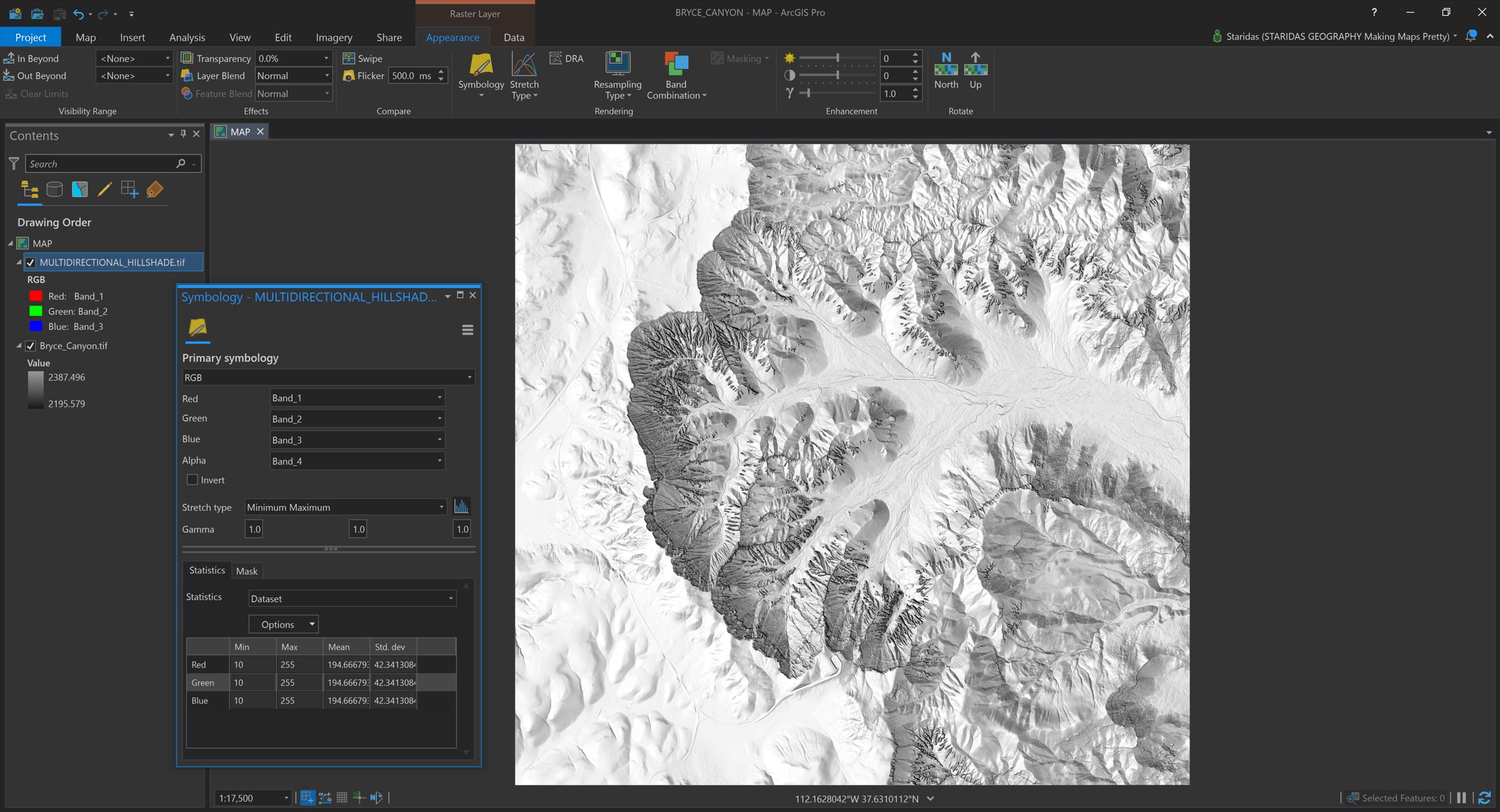 The filtered hillshade in ArcGIS Pro.