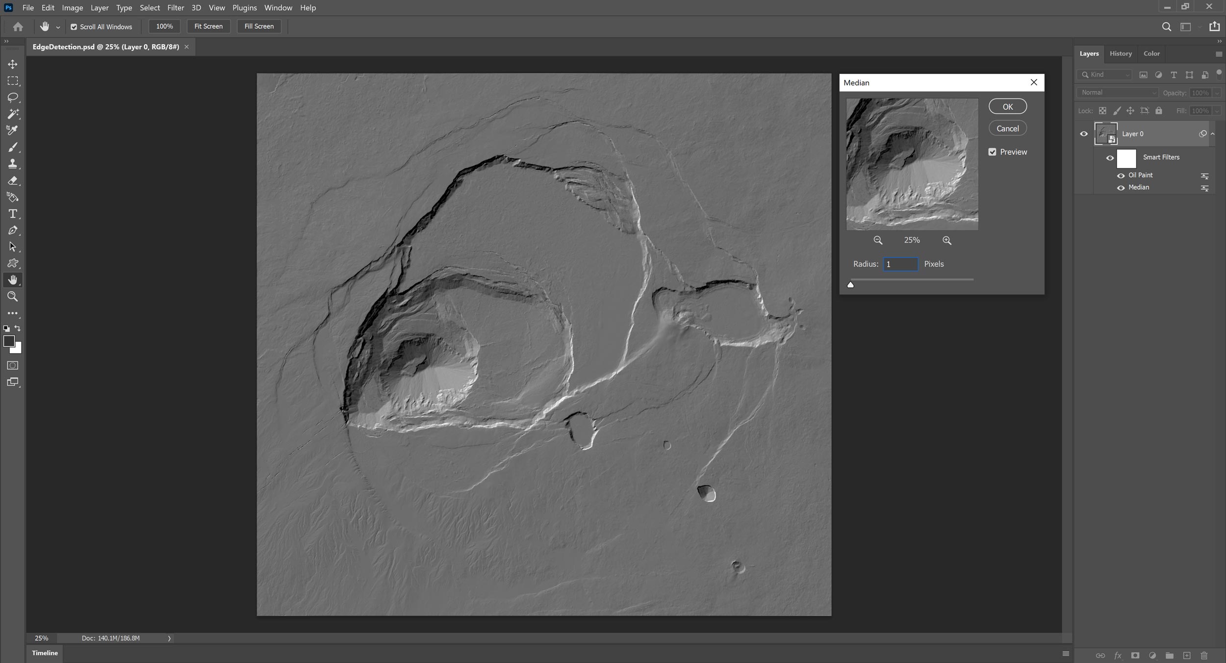 Picture 7: Median filter at the Edge Detection raster in Adobe Photoshop.